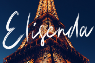 Elisenda: The Playful Brush Font for Handmade Brands