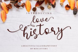 Love History: Elegant Script Handwritten Fonts for Brand Identity
