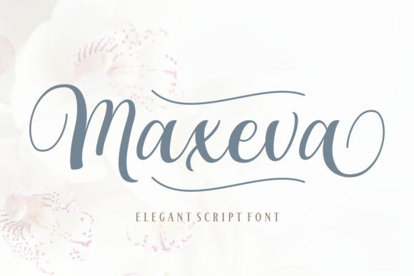 Maxeva Handwritten Font Review for Elegant Branding