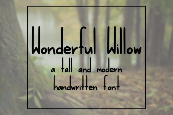 Wonderful Willow: The Modern Sans Serif Typeface for Scroll-Stopping Social Media Graphics